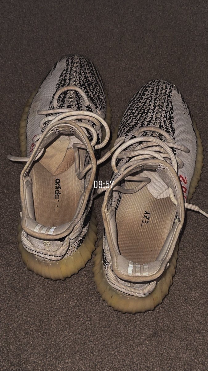 Master Niels tweet media