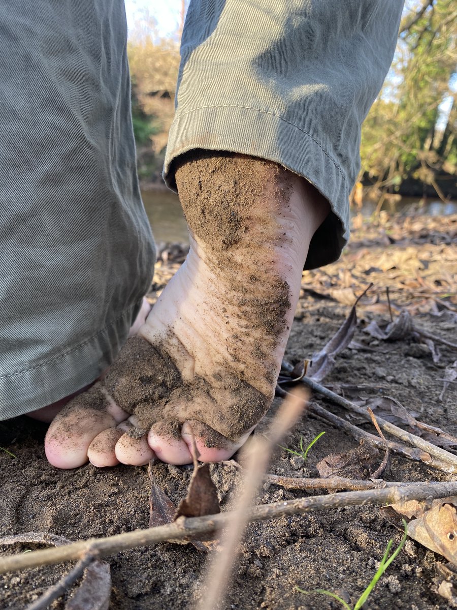 Leafy's Feet tweet media