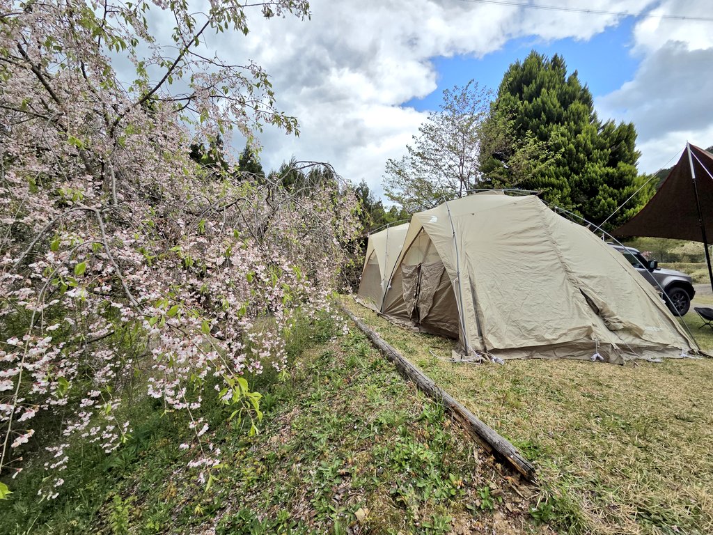 シノワ🇳🇱🇮🇹🇯🇵 tweet media