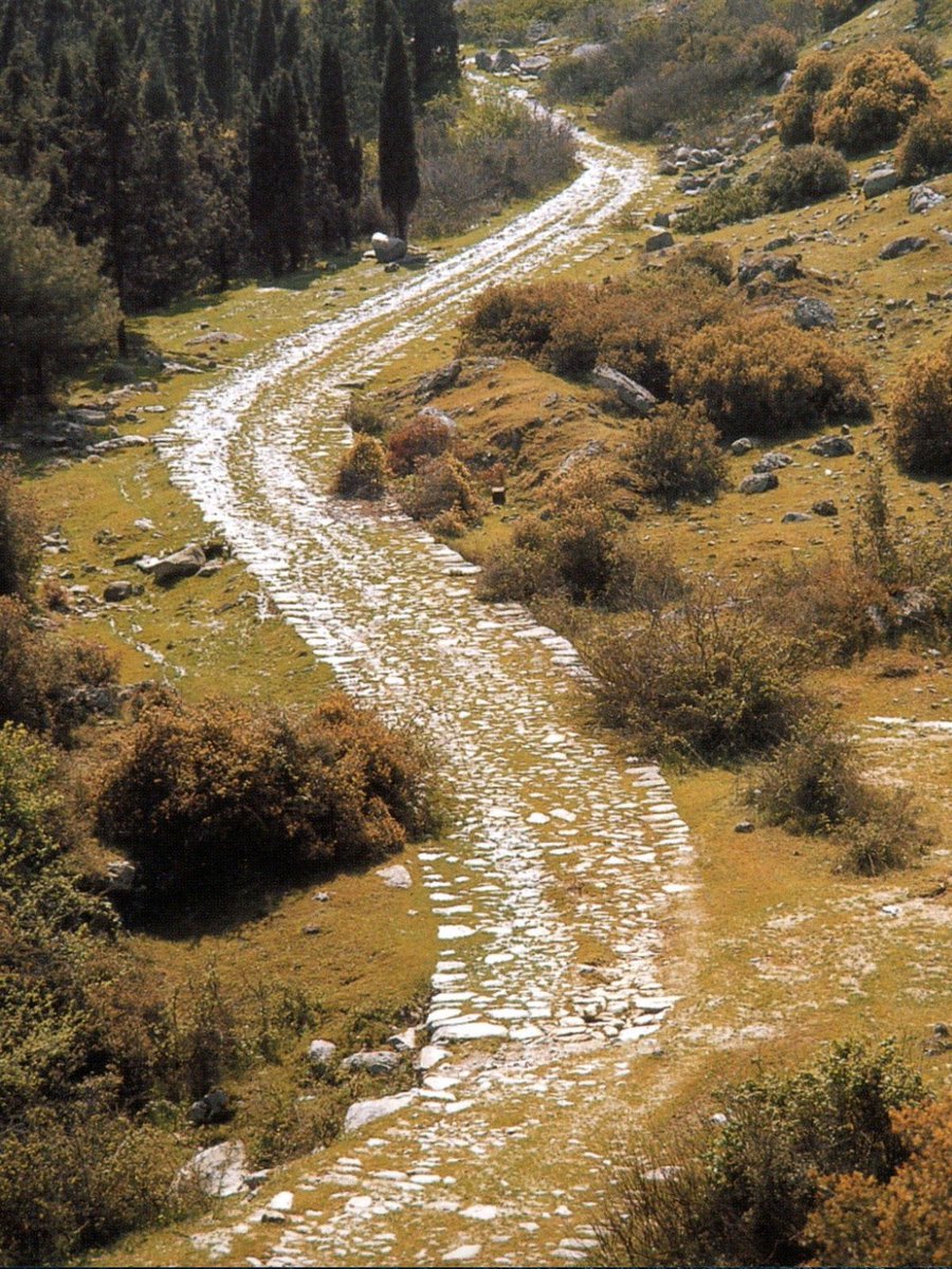 CatholicForLife's tweet image. "Are you the only visitor to Jerusalem
who does not know of the things
that have taken place there in these days?" #Gospel #Catholic