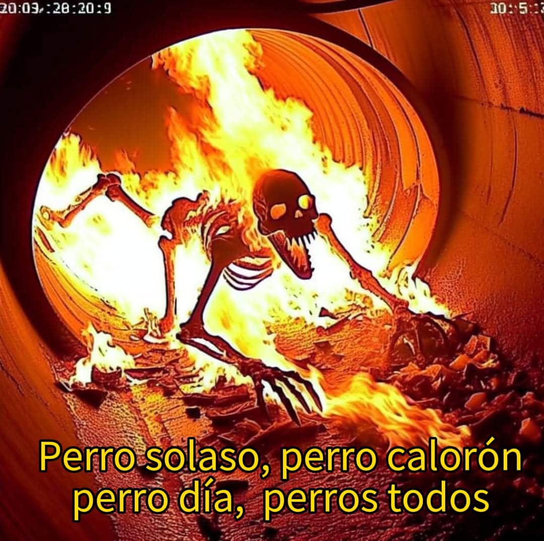 En Júpiter (@en_jupiter_) on Twitter photo 