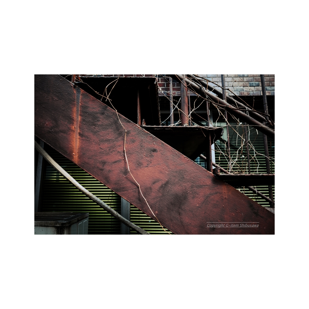 shibu_g_item's tweet image. Stairway

#scenery #Snapshot
#streetphotography
#streetsnap #Tokyo #Japan
#backalley #rust #rusty
#ricohgriii #ricohgr3
#RICOH #ricohgr