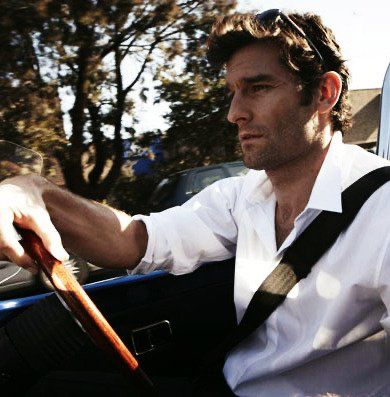 daily mark webber tweet media