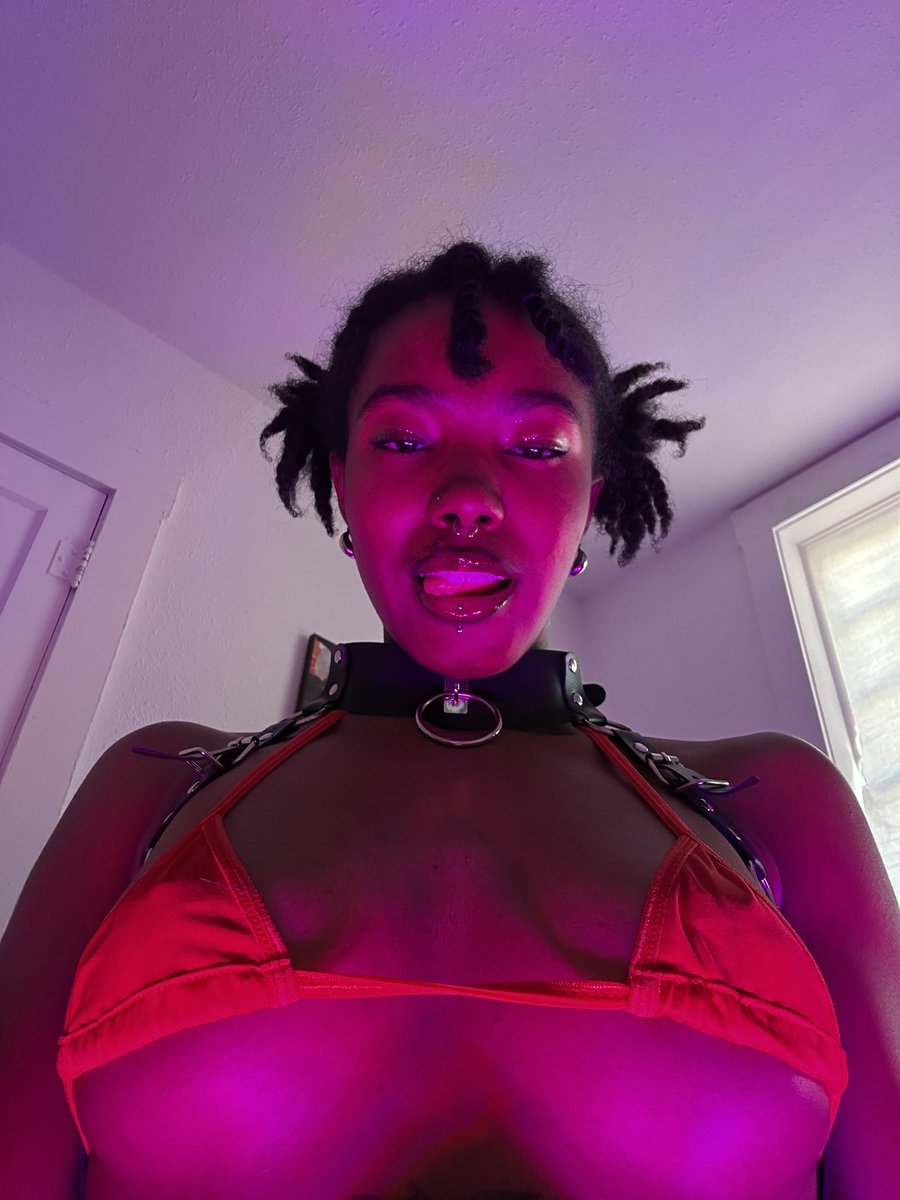 ☿Ligatrix tweet media