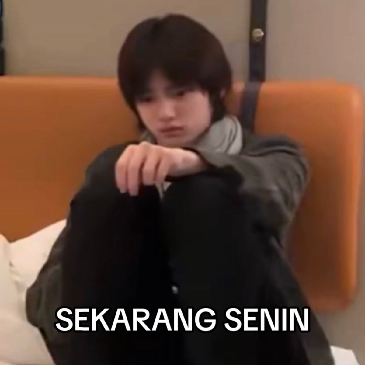 asha ✮ tweet media