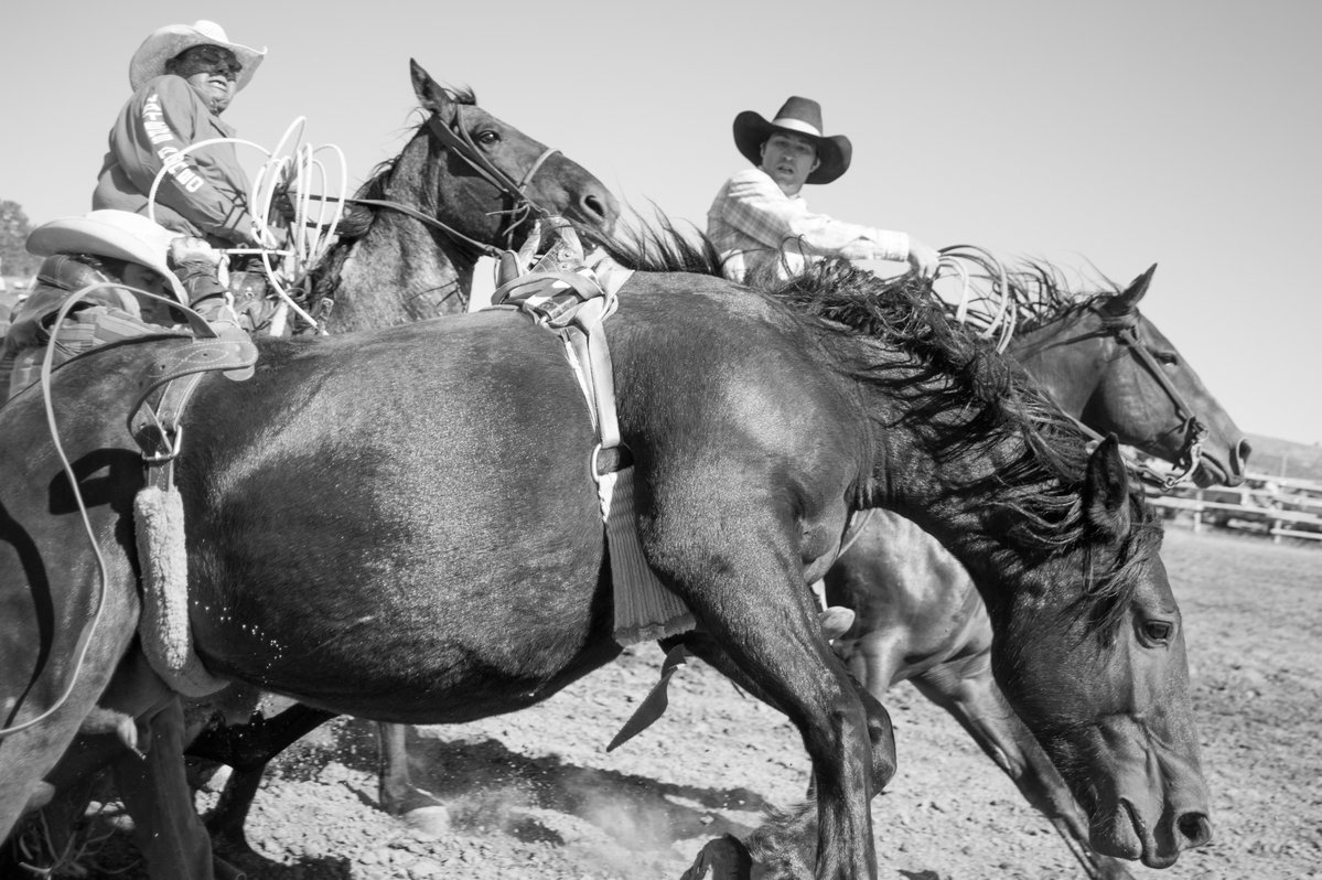 Jeremiah M. Murphy tweet media