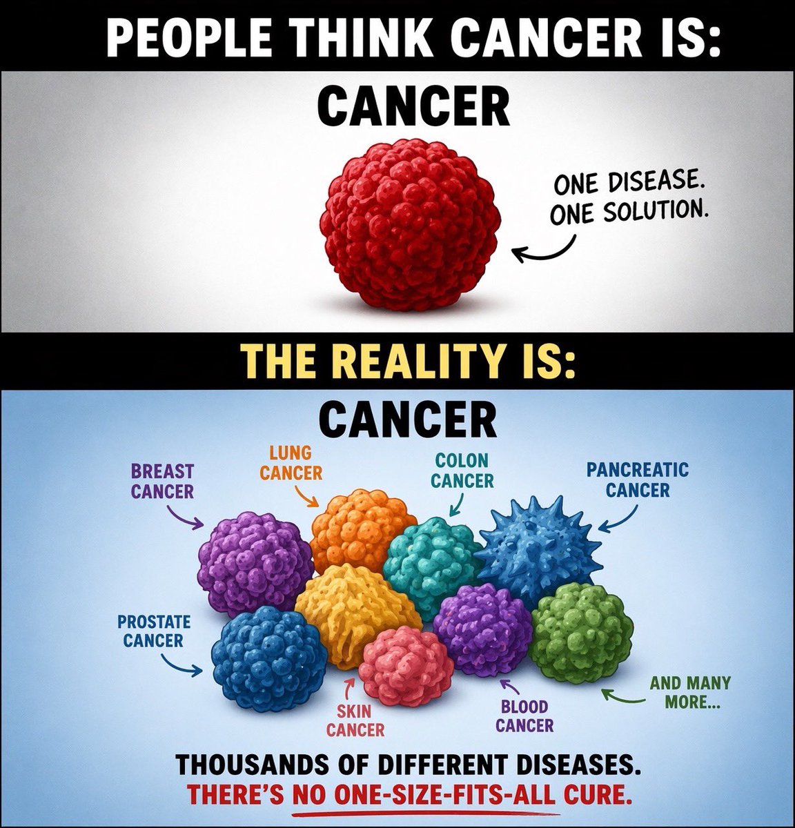 Oliver Dave tweet media