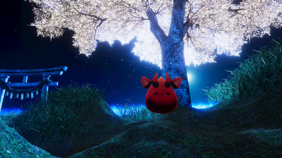 野良の魚 tweet media