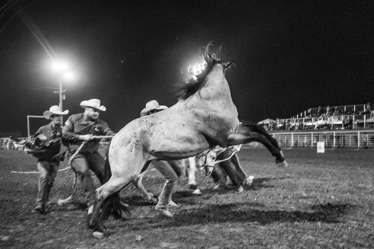 Jeremiah M. Murphy tweet media