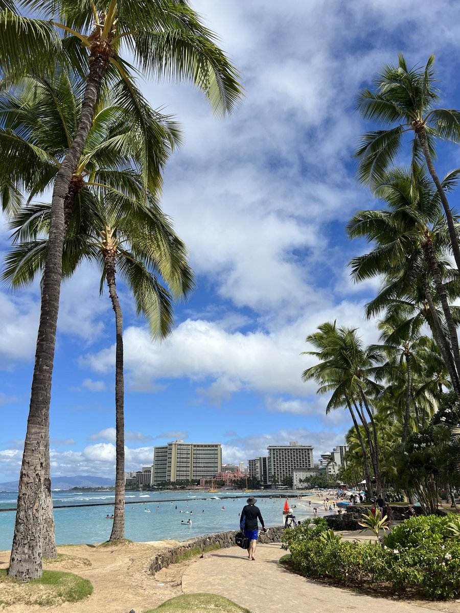 SHOKO(只今、不具合中😭 直ったかも⁉️) tweet media