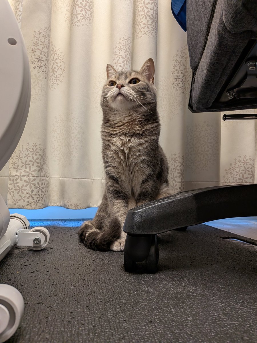 あぴお＆リク君 tweet media