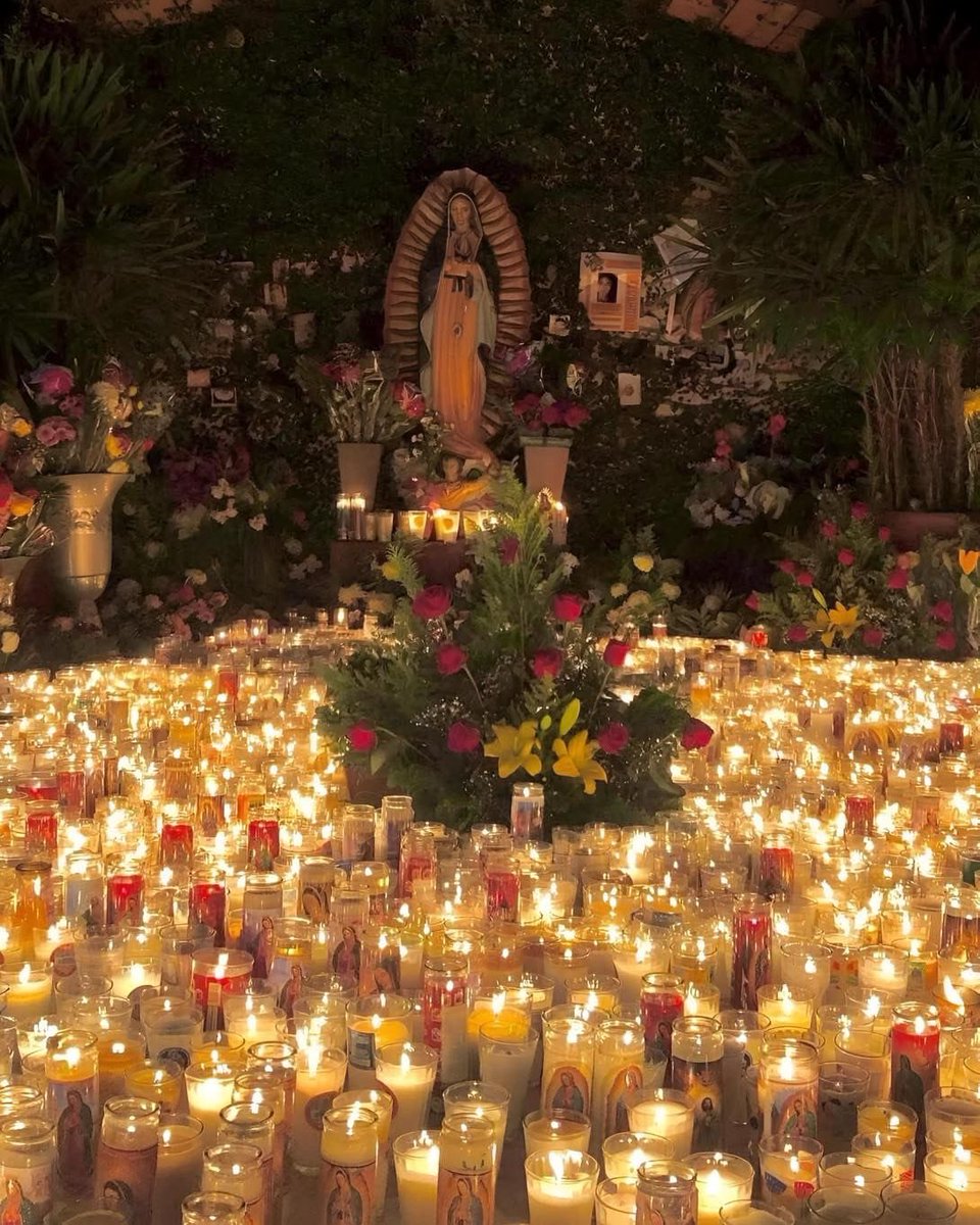 Monica 🪽 tweet media