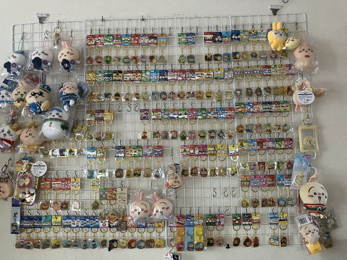 ミミとコテツ tweet media