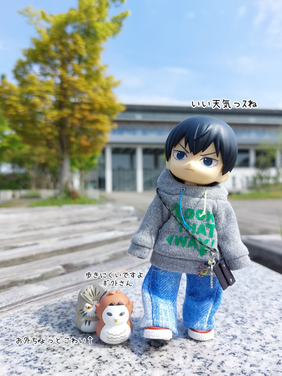 はじめてのお散歩🦉⸒⸒🦉⸒⸒