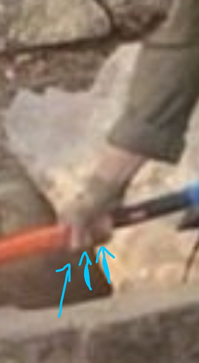 RavingRogerRover tweet media