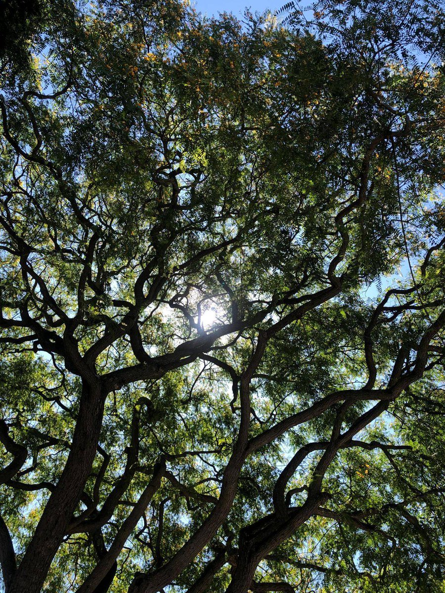 Dependentes de Cascais tweet media