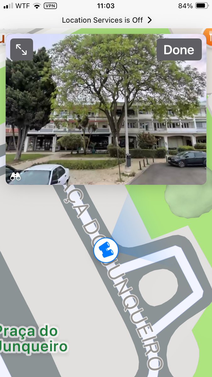 Dependentes de Cascais tweet media