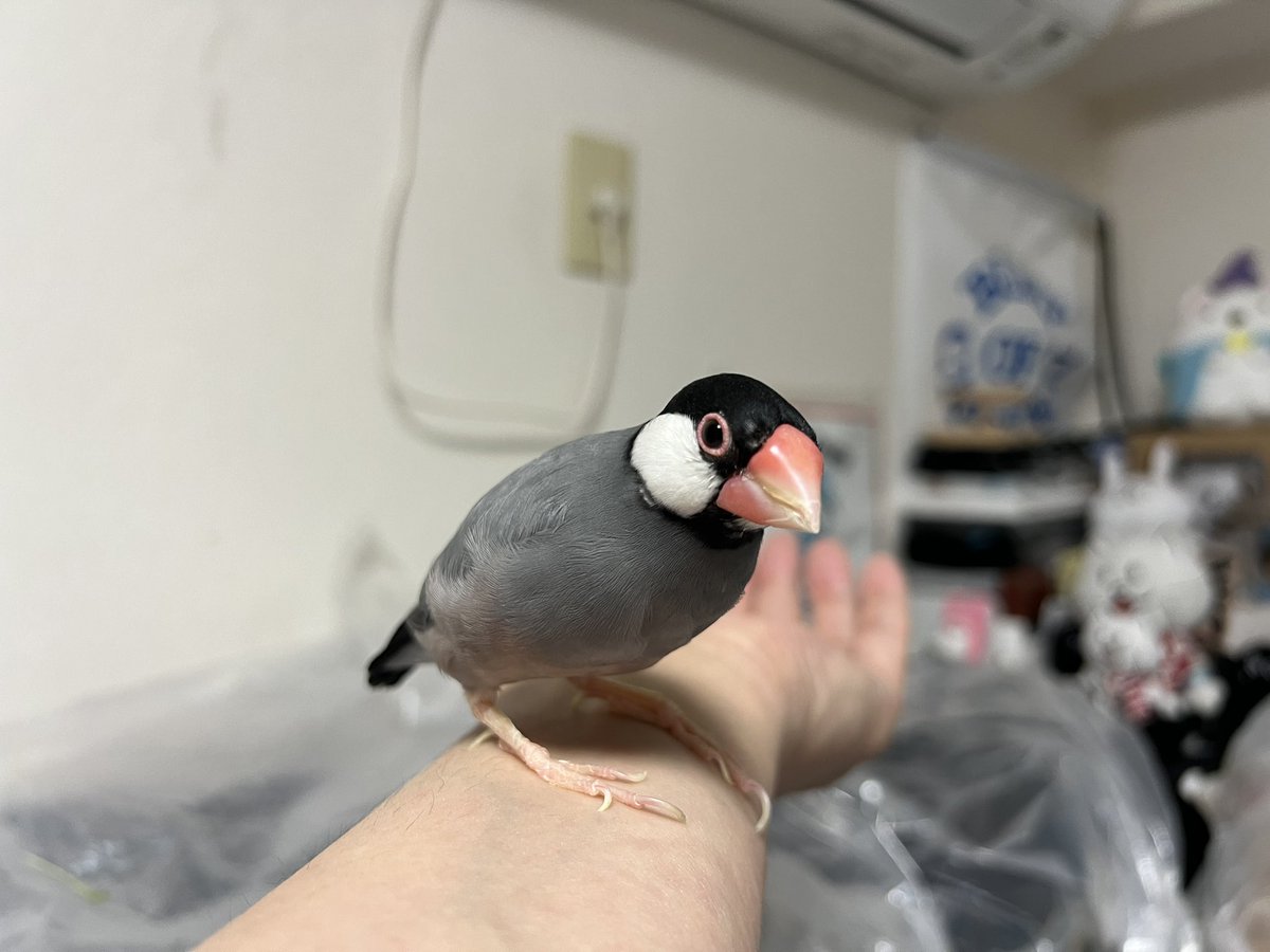 おはようございます⛅️