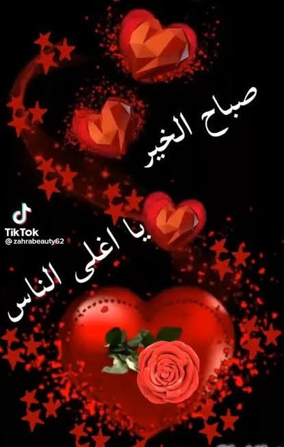 ♥️ 🇰🇼 بنت النور ♥️🇰🇼 tweet media