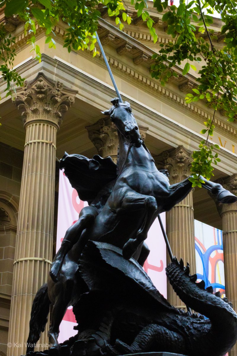 wsb｜3カ国渡り歩くロー生🇯🇵🇺🇸🇦🇺 tweet media