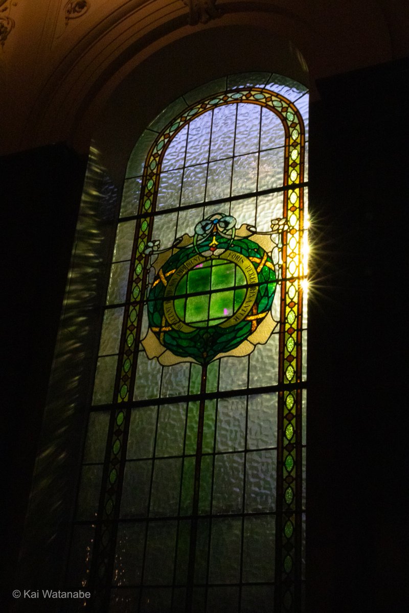 wsb｜3カ国渡り歩くロー生🇯🇵🇺🇸🇦🇺 tweet media