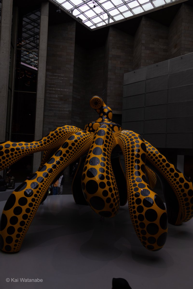 wsb｜3カ国渡り歩くロー生🇯🇵🇺🇸🇦🇺 tweet media