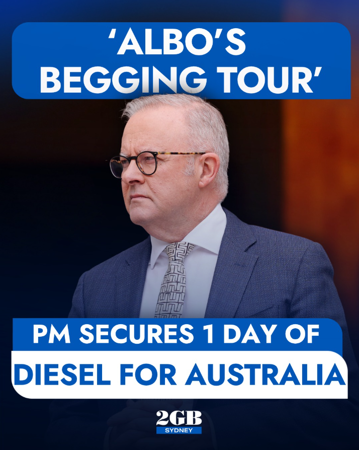 Pauline Hanson 🇦🇺 tweet media