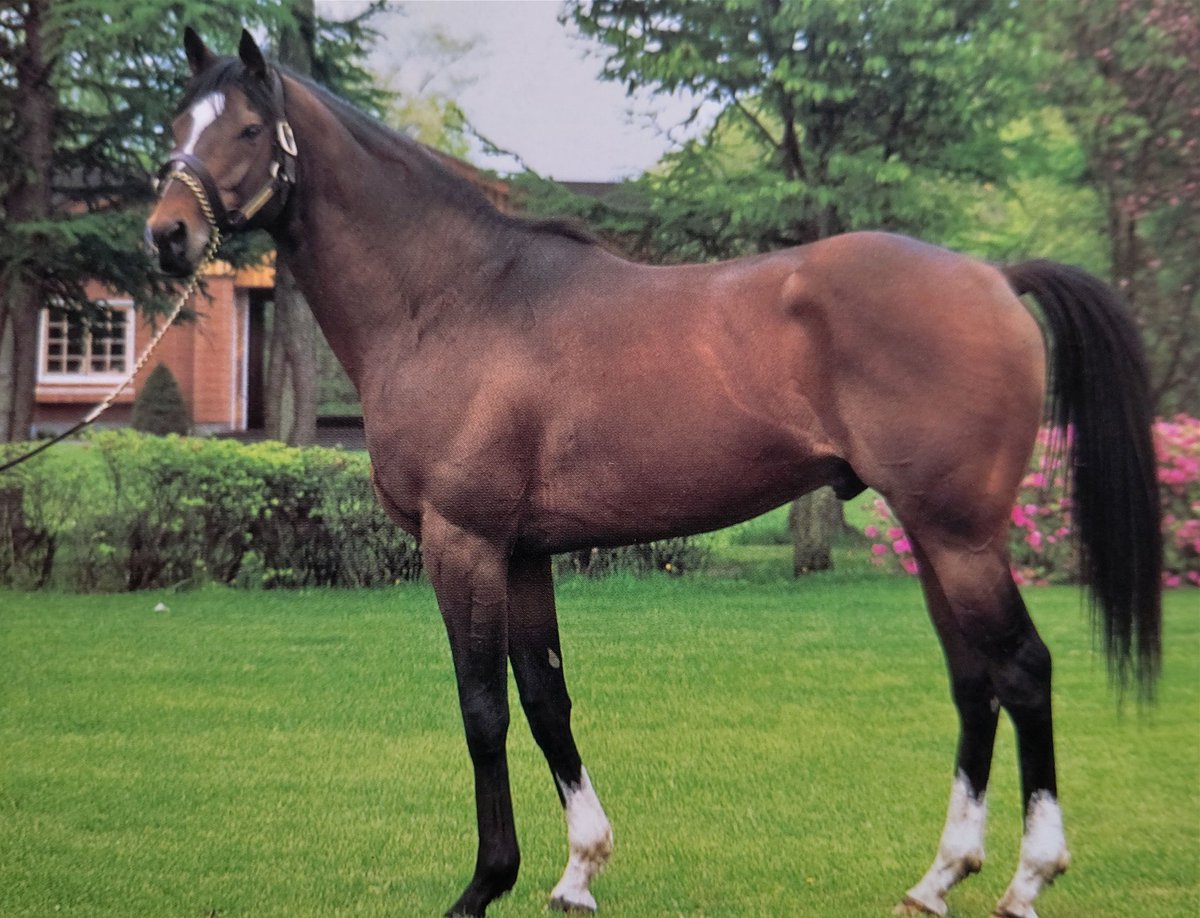 Stay Dream tweet media