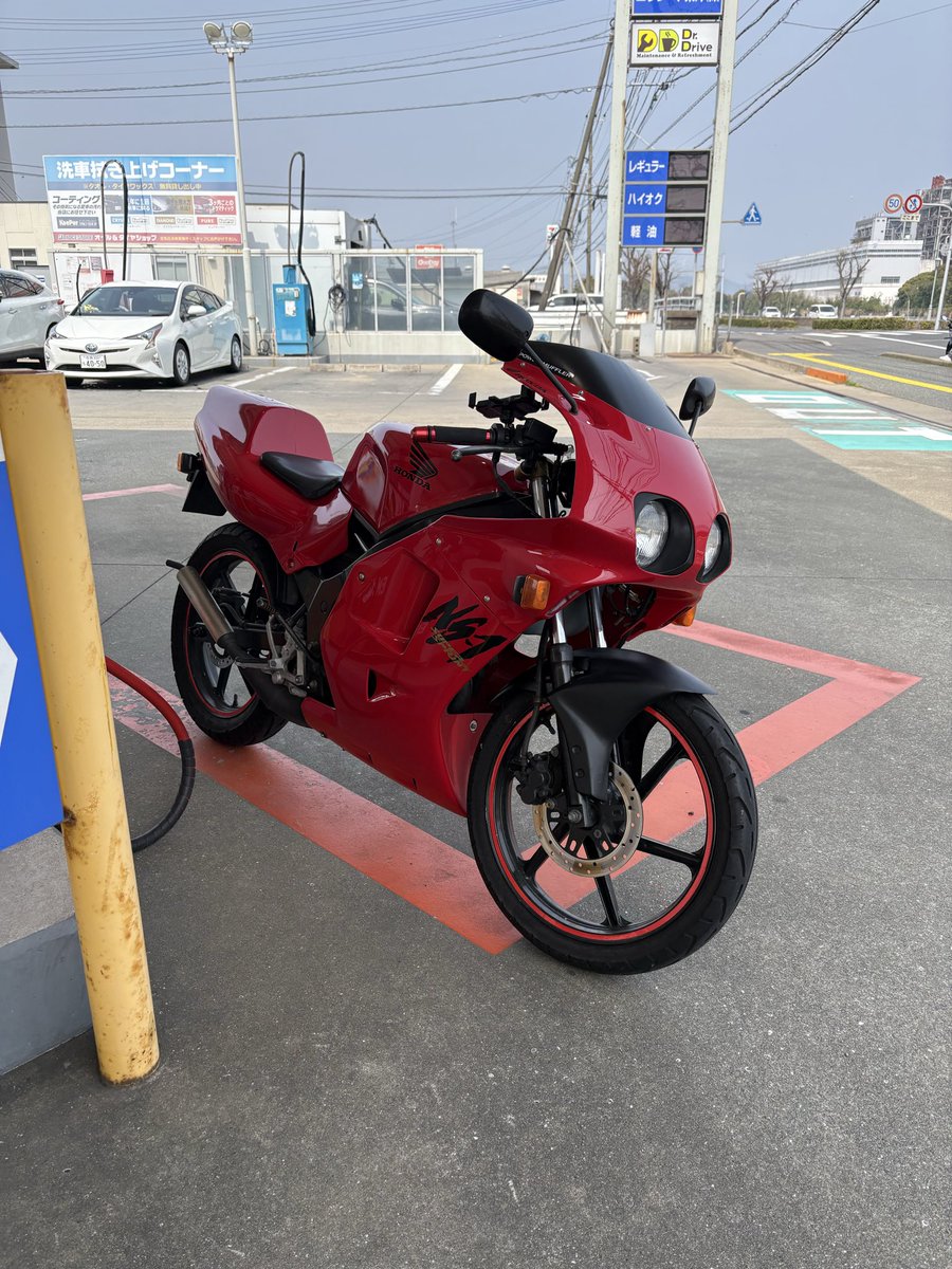 🐷ぶたち🐷 tweet media