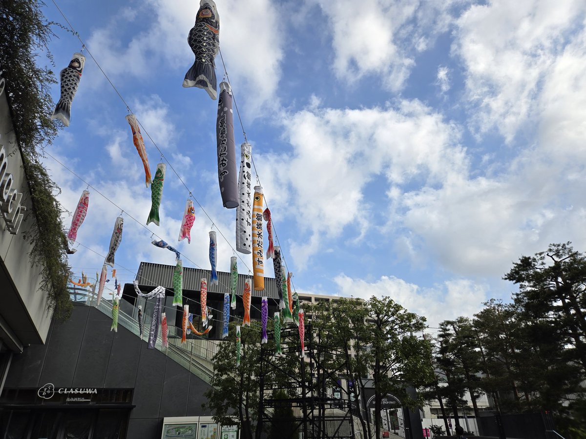 小松正晴 tweet media