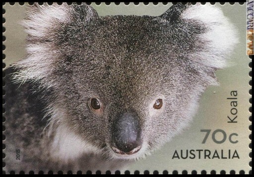 Vaccarinews's tweet image. #Australiapost e #Wwf nazionale insieme per proteggere i #koala: vaccarinews.it/twnews/tw_3990…