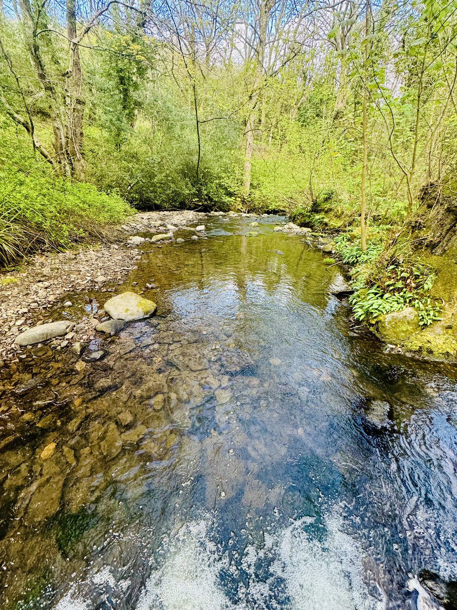 Mangomochi tweet media