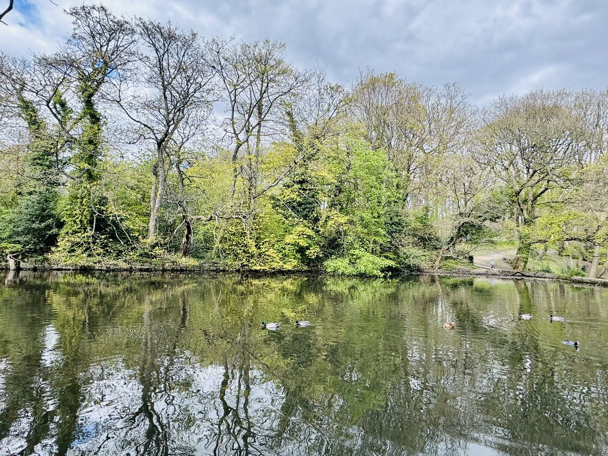 Mangomochi tweet media