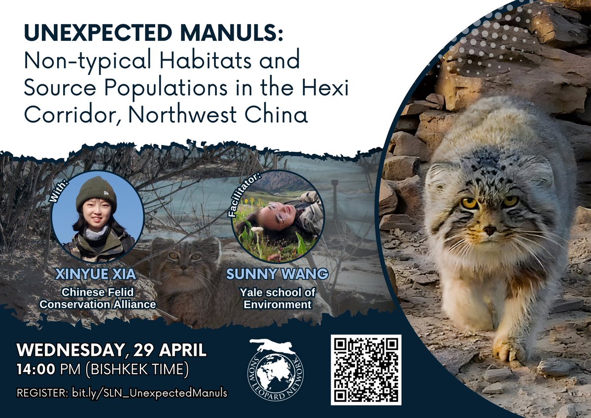 Snow Leopard Network tweet media