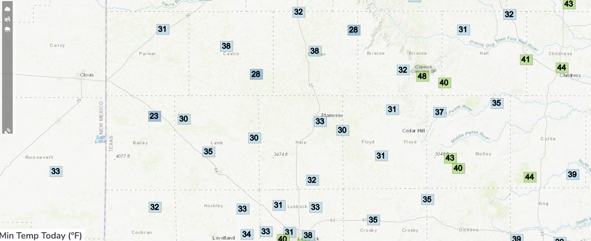 Steve Divine tweet media