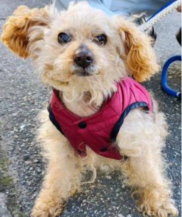 くるみmama tweet media