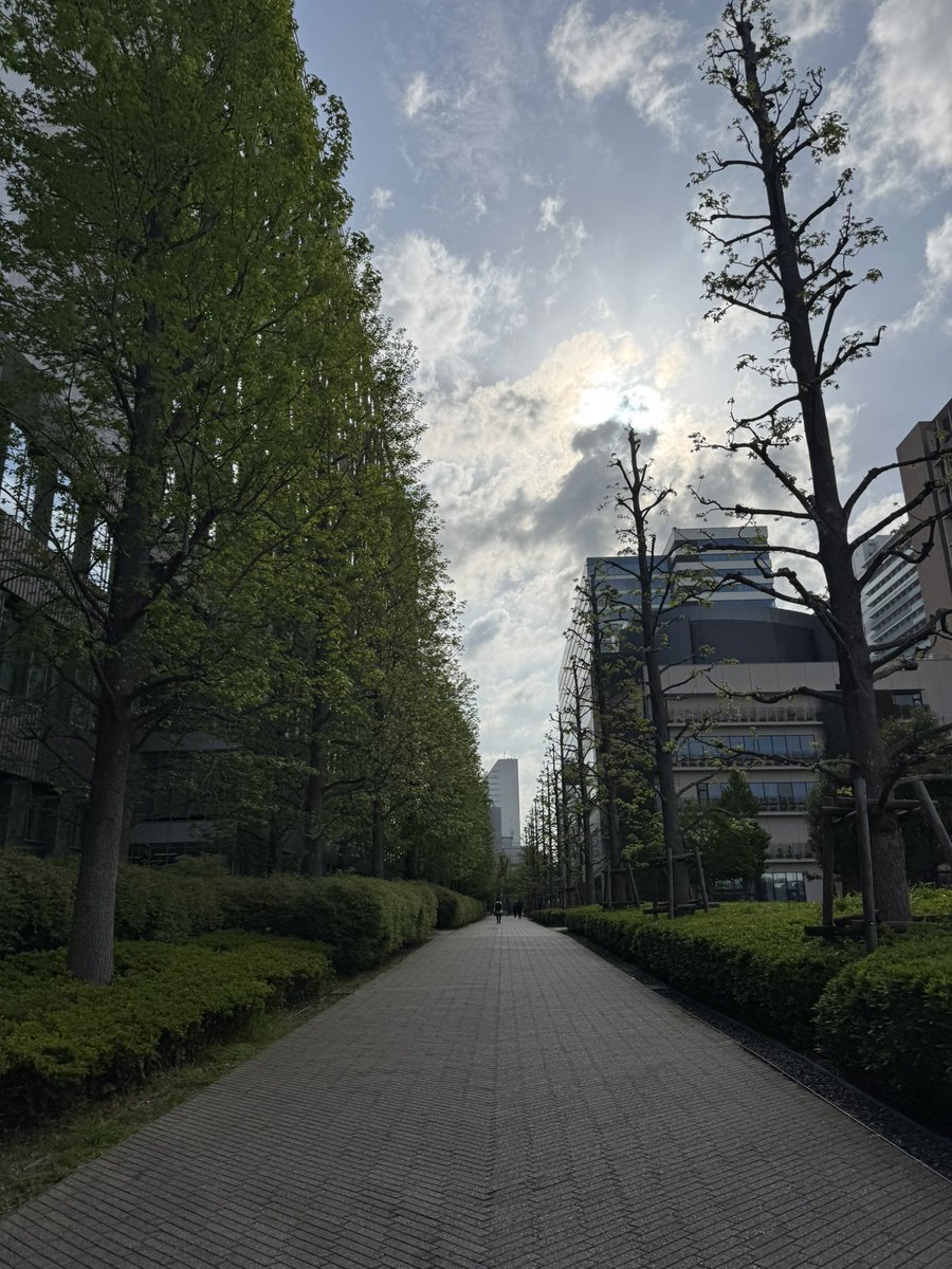 MocoPin_PaPa's tweet image. おはようございます(^O^)／
東京のイマソラは、薄曇り！ そして日中は、良い天気が続く予報です。
さぁ、新しい週の始まり月曜日、今週も頑張りましょー♫
*
#sky #cloud #空 #雲 #イマソラ