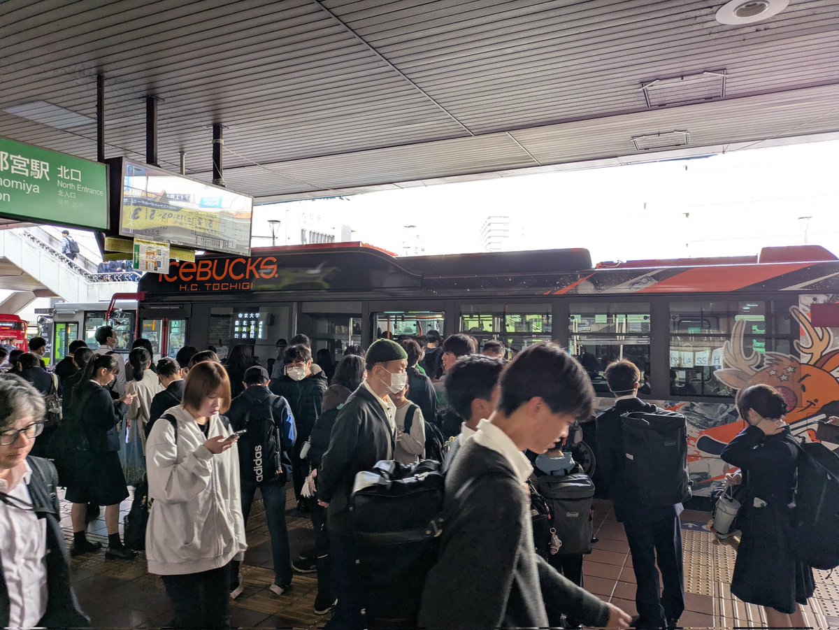 マイトラ tweet media