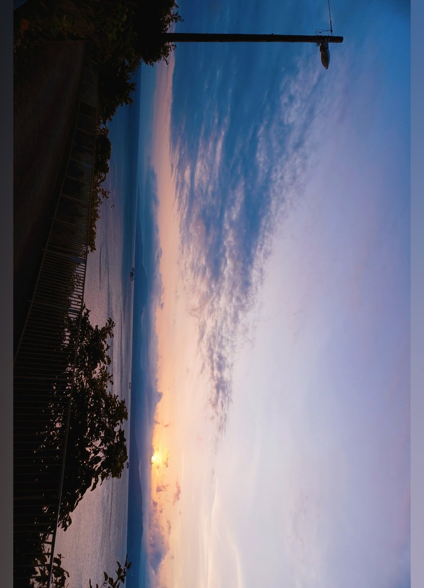 hanamaru tweet media