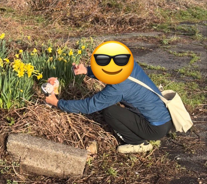 ARIA@旅好きオタク tweet media