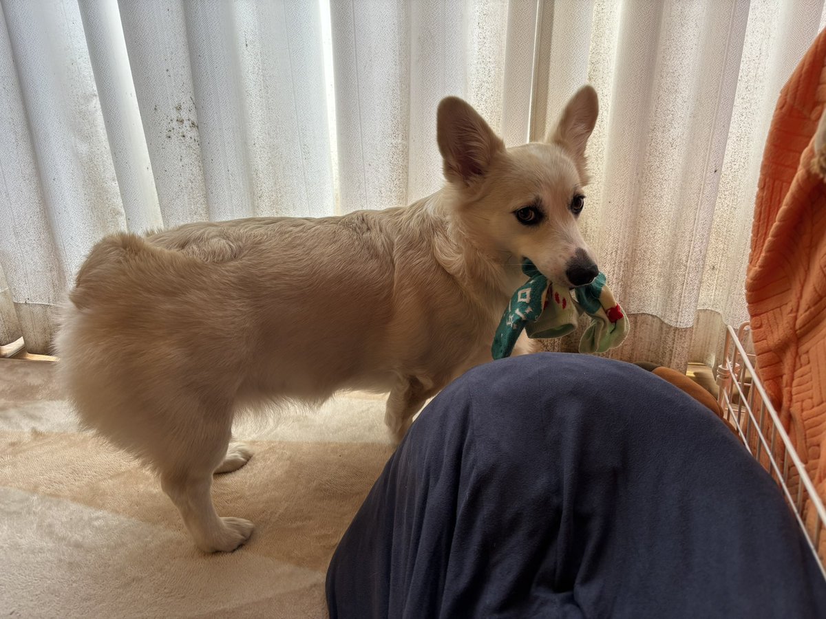 いちみ tweet media