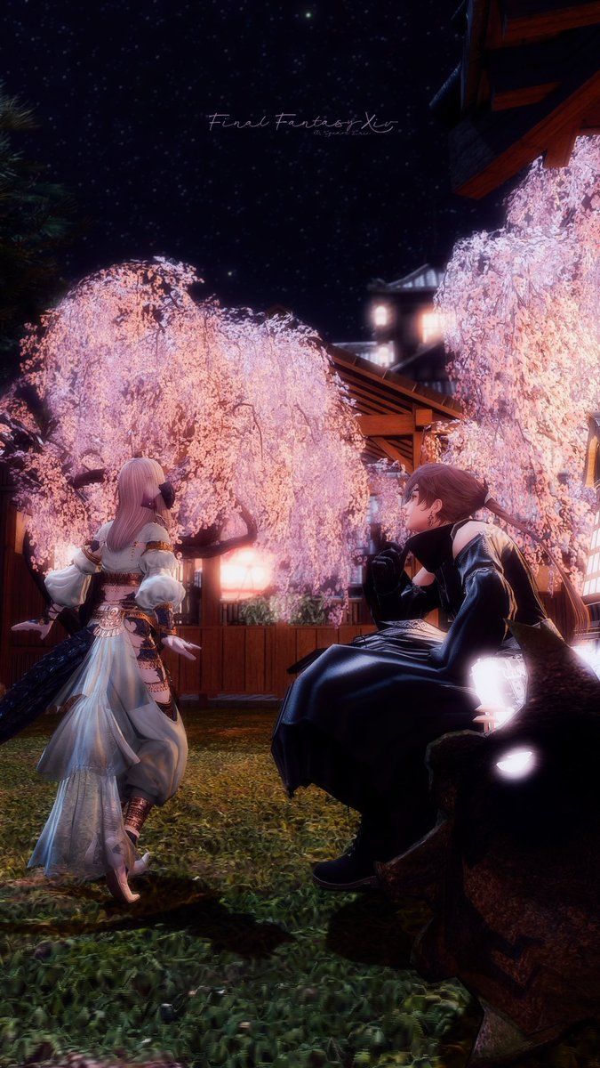 Chloeꫂ ၴႅၴ tweet media