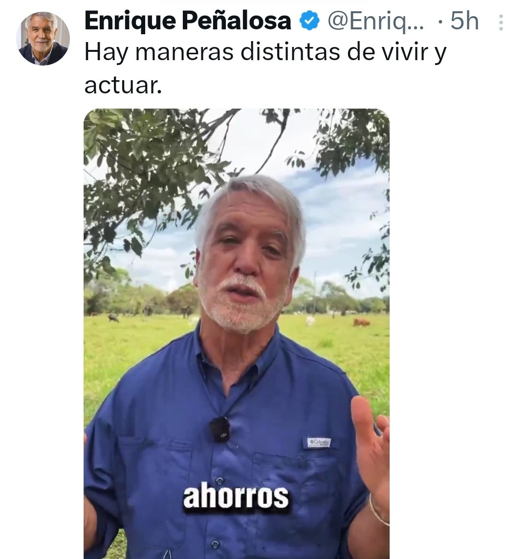 🅟🅐🅣🅘🅒🅞 tweet media