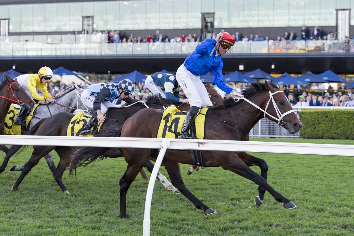 godolphin's tweet image. 🇦🇺 A powerful group of three-year-olds continues to drive Godolphin’s success this season, with #Tempted (Street Boss), #Tentyris (Street Boss), #Observer (Ghaiyyath) and #Attica (Lonhro) all playing key roles in the overall haul.

Read more 👉 godolphin.to/zcg96x