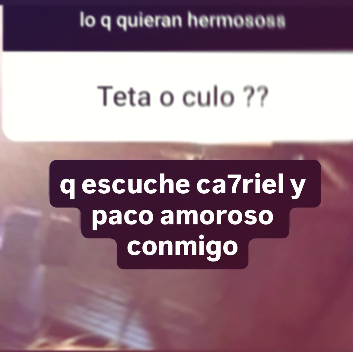 ¡sofia! tweet media