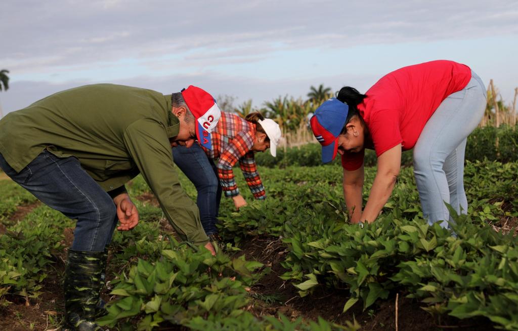 #VillaClaraConTodos firma por la Patria el compromiso inquebrantable de defenderla ante el bloqueo imperialistas y sus amenazas. #CubaVencerá #GirónEsHoy