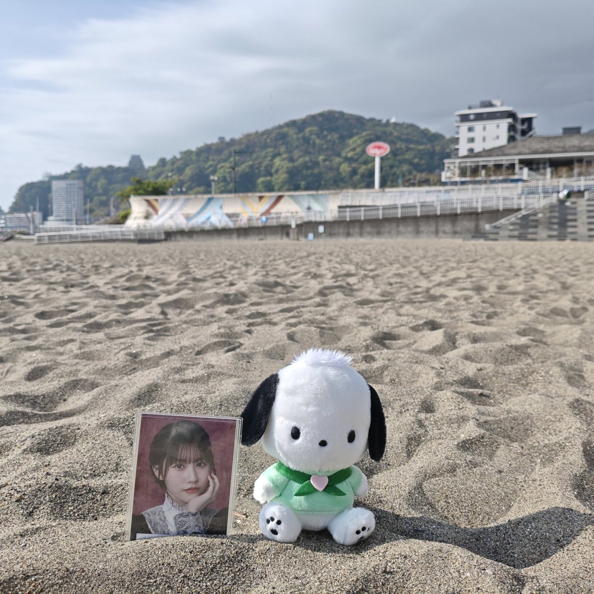 🐨Marmotoha Tree🌳 tweet media