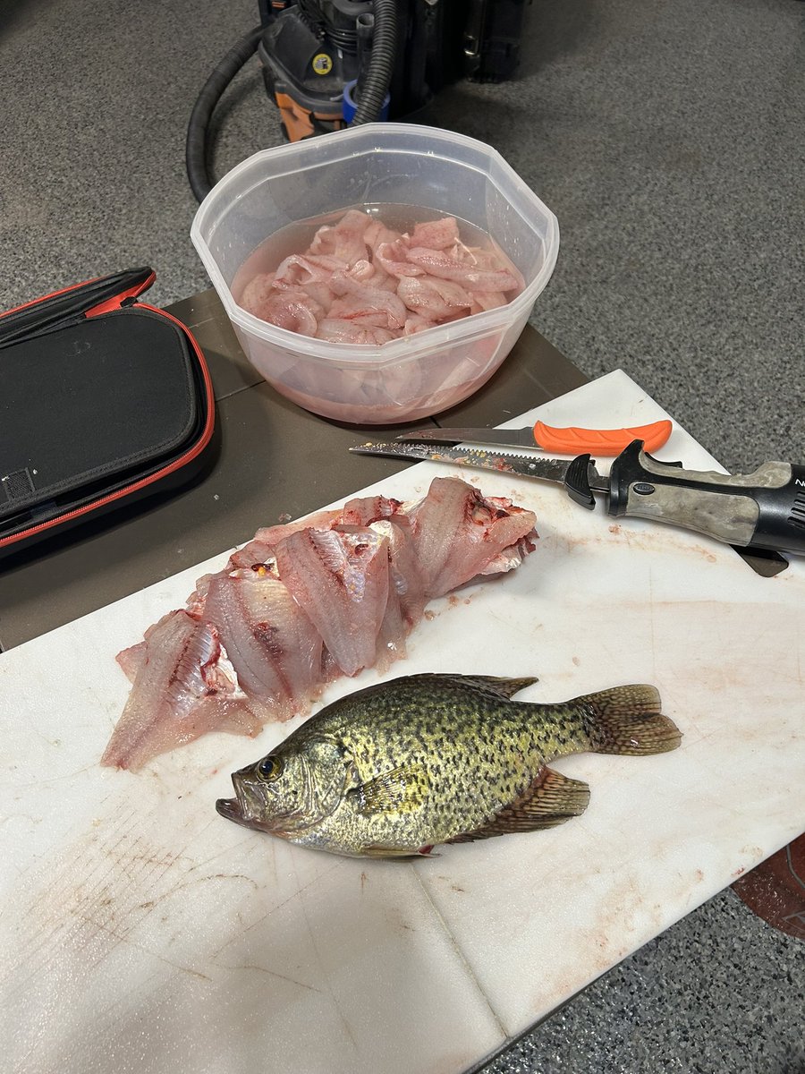 realAdam7910's tweet image. Thank you, Lord for blessing my family with an amazing catch today! God is great!