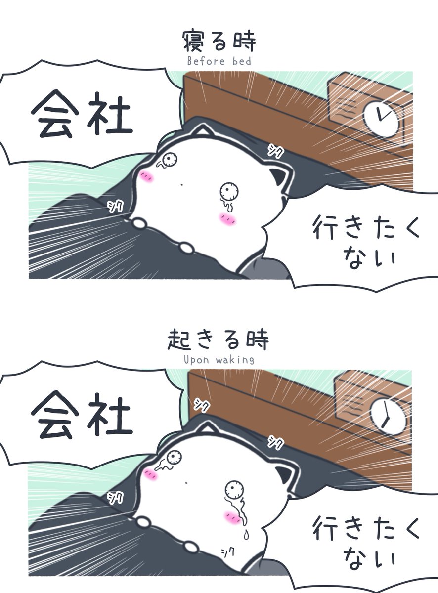 まよねこの勤労🐈💨 tweet media