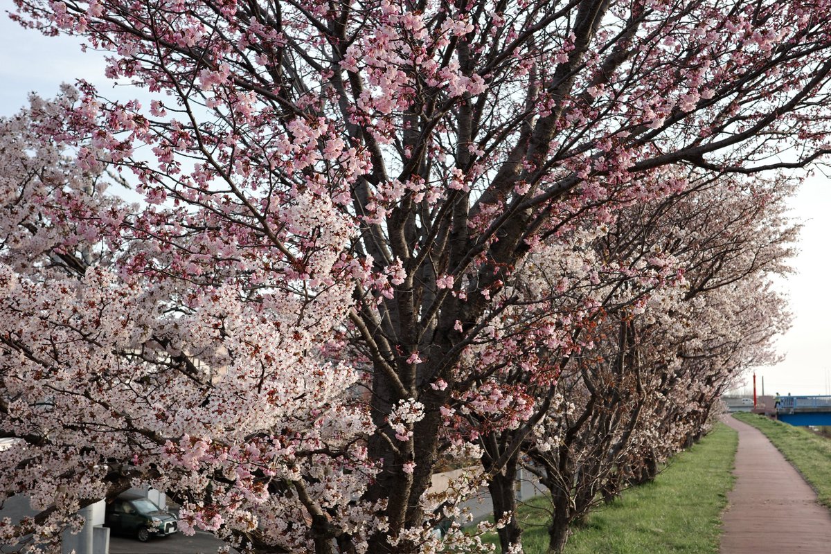 195's tweet photo. 札幌 https://t.co/qR254Ci7XX